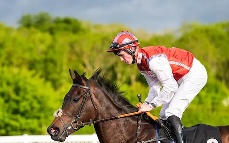 Horse and Jockey on the track at Chelmsford City Racecourse