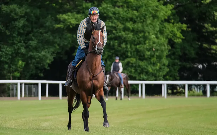 Wesley Ward’s select Royal Ascot team at Chelmsford