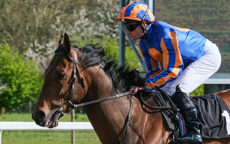 Horse and jockey looking determined and focused at Chelmsford.