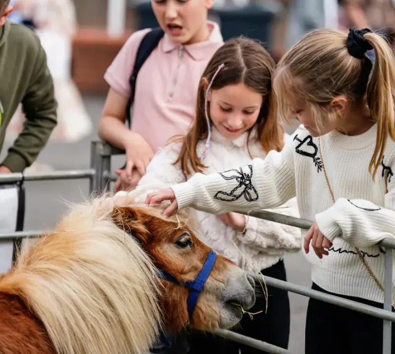 Kids playing with a pony.