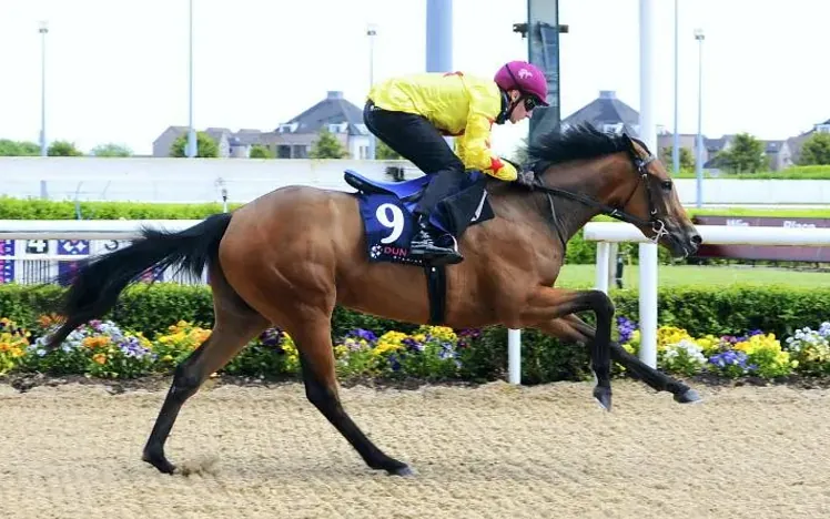 A horse galloping down the all weather track at Chelmsford City Racecourse