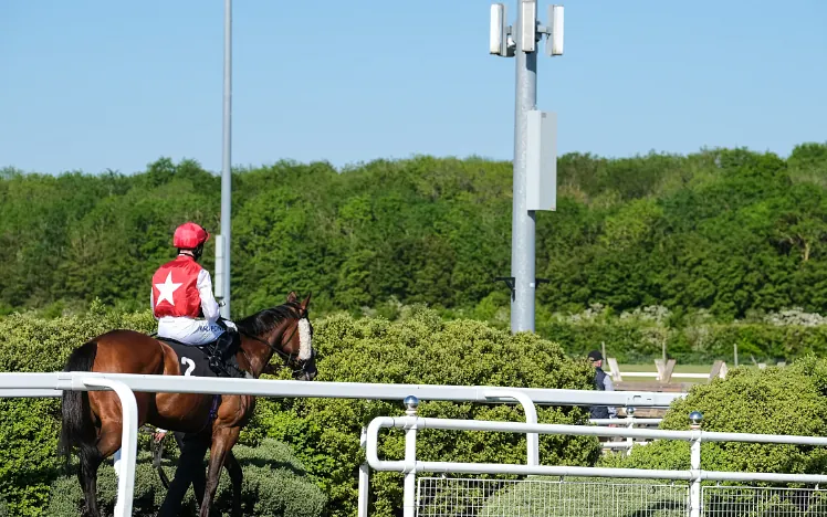 Horse and jockey head towards the track in the sunshine at Chelmsford City Racecourse