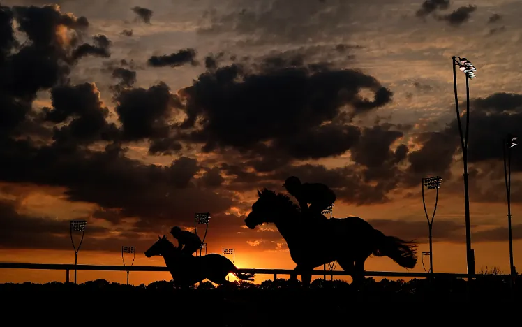 Silhouette of horses racing on the track at Chelmsford during sunset.