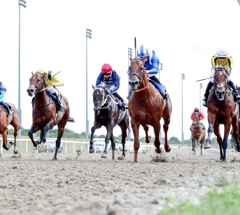 Group of racing jockeys.