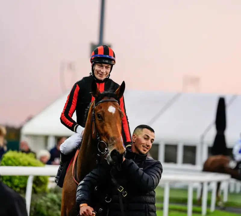 Jockey on a horse being led through parade ring.