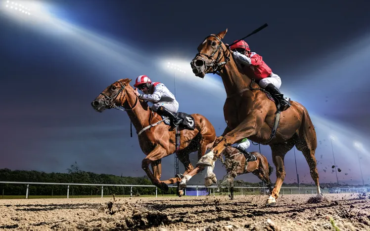 Horse racing under the floodlights at Chelmsford City Racecourse.