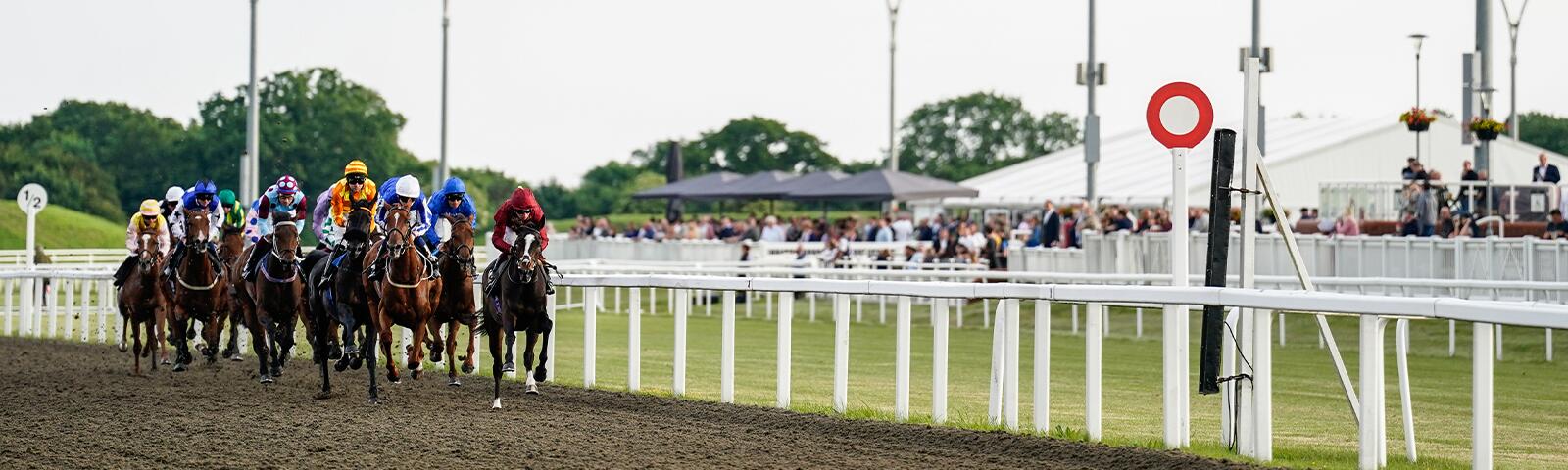 Horse racing at Chelmsford City Racecourse.