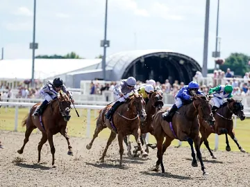 Horses race at full speed down the straight at Chelmsford City Racecourse.