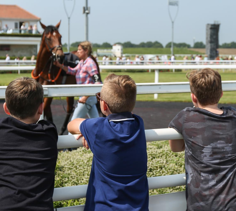 Three boys looking at a horse being led through parade ring.